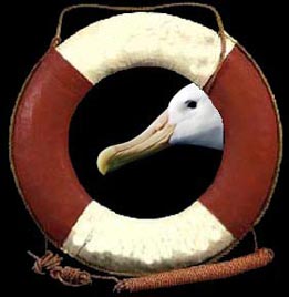 Antiquaire de marine  Bretagne